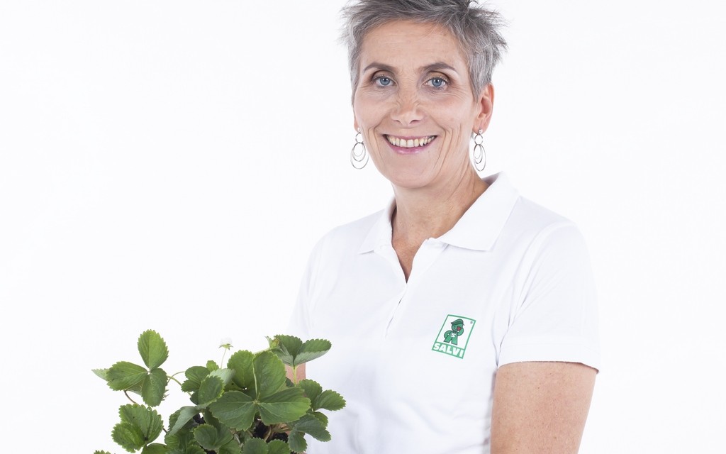 Silvia Salvi Fragole_web